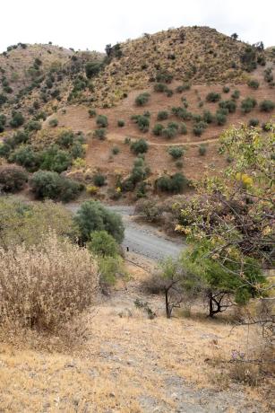 Terreno en Estación