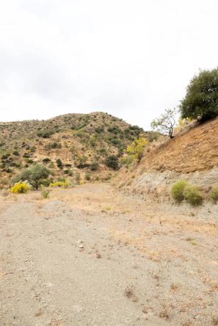 Terreno en Estación