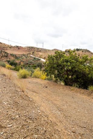 Terreno en Estación