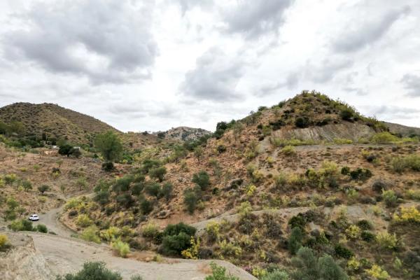 Terreno en Estación
