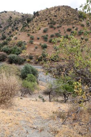 Terreno en Estación