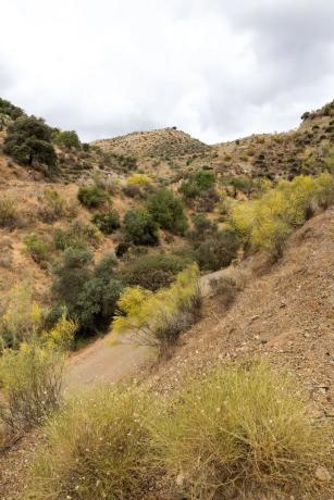 Terreno en Estación