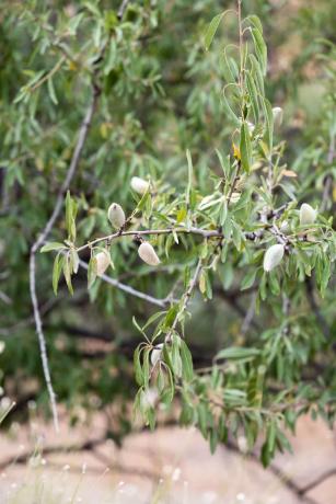Terreno en Estación