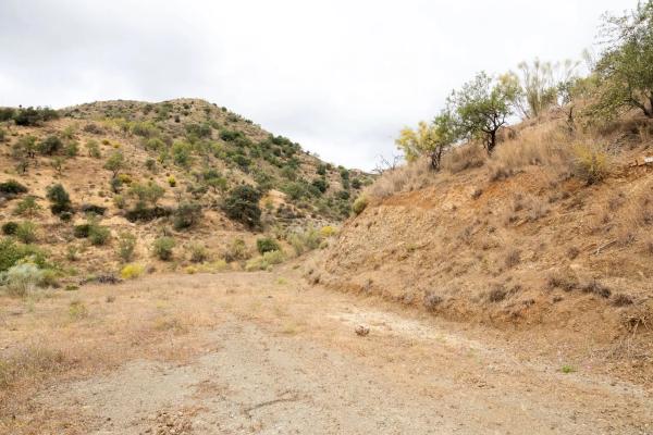 Terreno en Estación