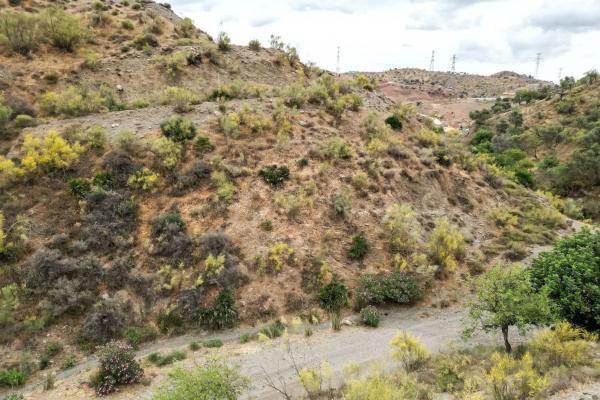 Terreno en Estación