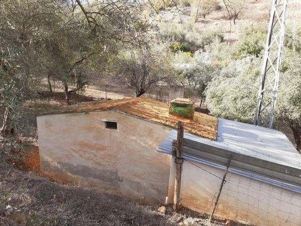 Terreno en Diseminado Diseminados, 247