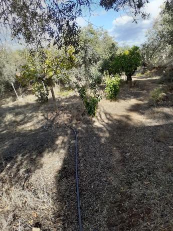 Terreno en Diseminado Diseminados, 247