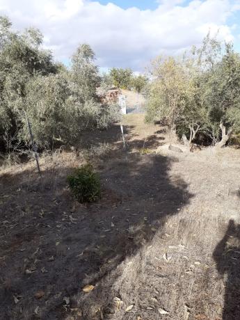 Terreno en Diseminado Diseminados, 247