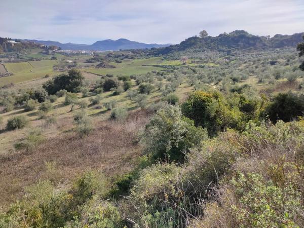 Terreno en carril Virgen de la Cabeza s/n