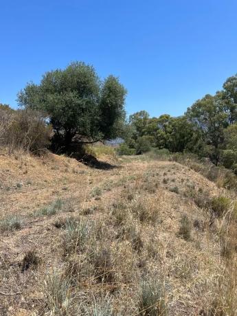 Terreno en Barrio Mijas Golf