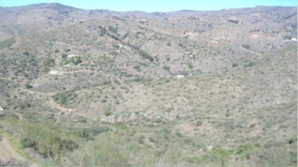 Terreno en Arroyo De Jaboneros