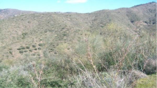 Terreno en Arroyo De Jaboneros