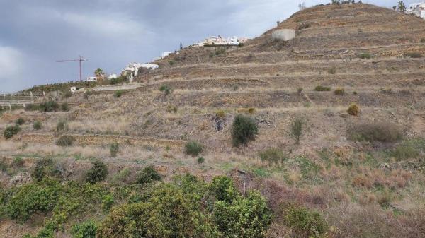 Terreno en calle urb las violetas, 16