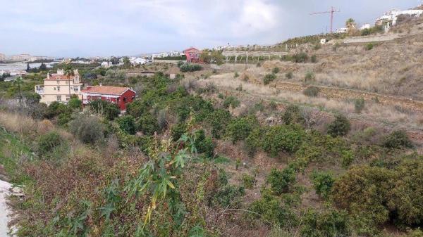 Terreno en calle urb las violetas, 16