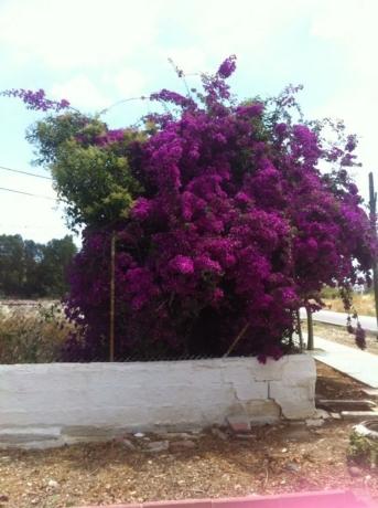 Terreno en Puerto Terrón, 22