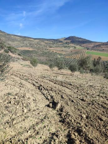Terreno en arroyo carnicero, km 1