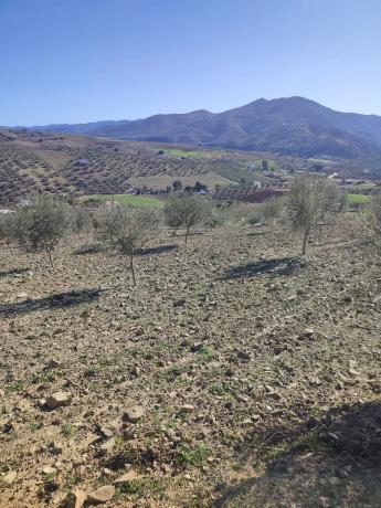 Terreno en arroyo carnicero, km 1