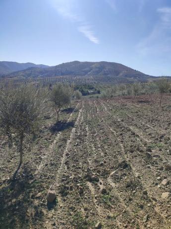 Terreno en arroyo carnicero, km 1