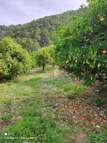 Terreno en Diseminado Diseminados, 16