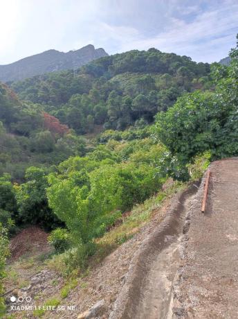 Terreno en Diseminado Diseminados, 16