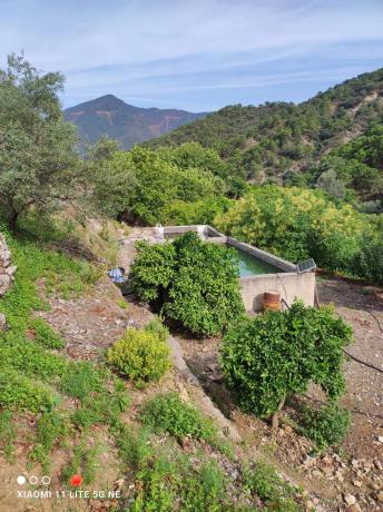 Terreno en Diseminado Diseminados, 16