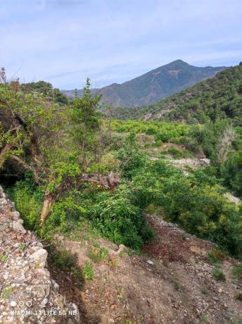 Terreno en Diseminado Diseminados, 16
