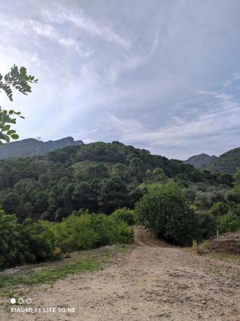 Terreno en Diseminado Diseminados, 16