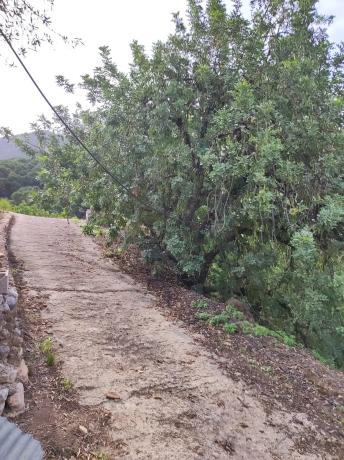 Terreno en Diseminado Diseminados, 16