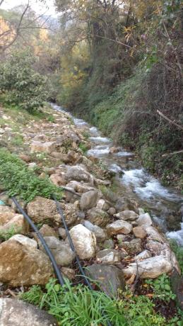 Terreno en Diseminado Diseminados, 16