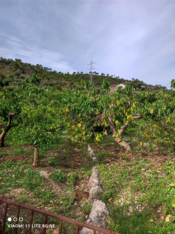 Terreno en Diseminado Diseminados, 16