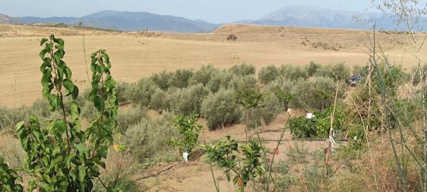 Terreno en calle Ronda del Oeste s/n
