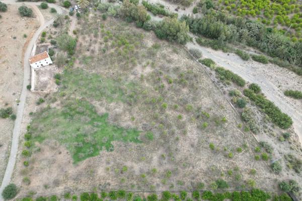 Terreno en Alora