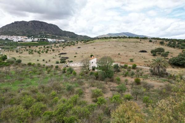 Terreno en Alora