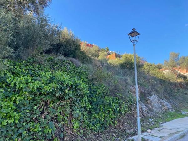 Terreno en calle toleneros, 32