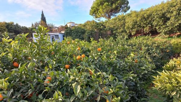 Terreno en Valtocado - La Alquería - La Atalaya