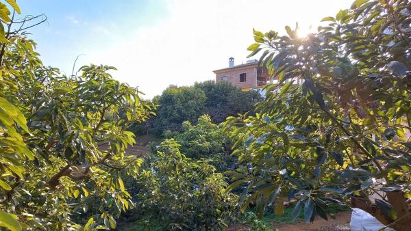 Terreno en Valtocado - La Alquería - La Atalaya