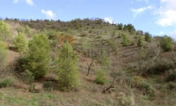 Terreno en Almogía