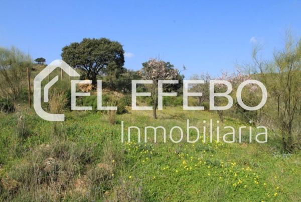 Terreno en Almogía