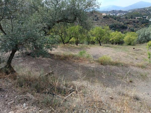 Terreno en Canillas de Aceituno