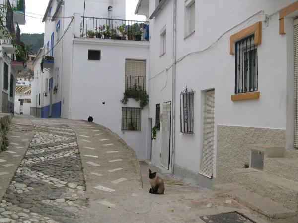 Terreno en El toril, 2