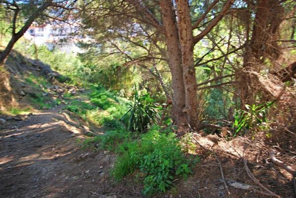 Terreno en Torremuelle