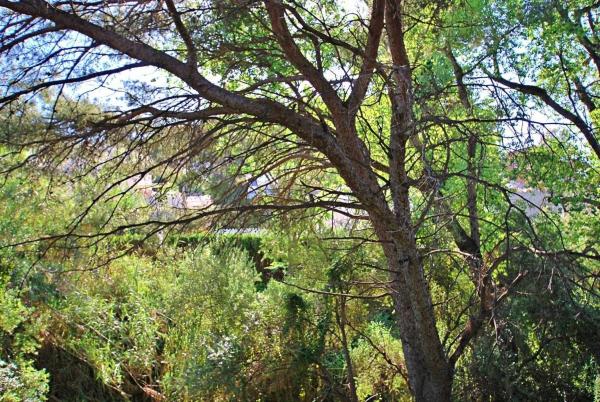 Terreno en Torremuelle