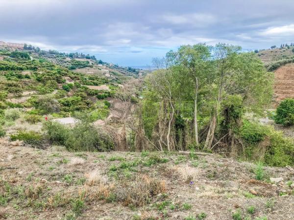 Terreno en calle Rosarico la Joaquín
