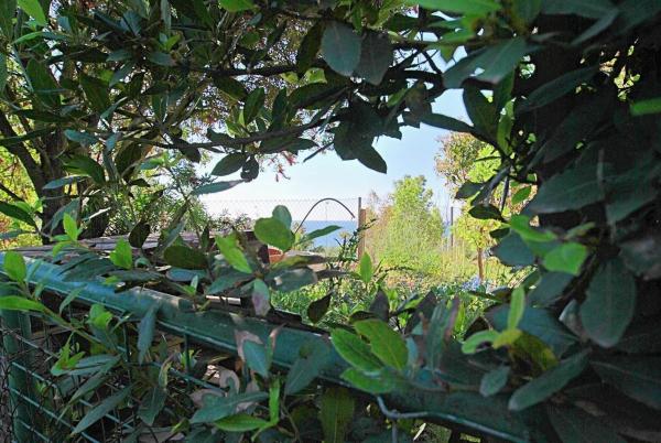 Terreno en Torremuelle
