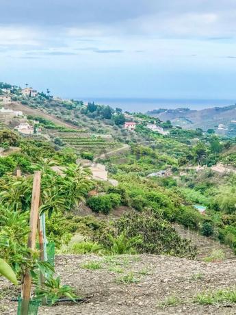 Terreno en calle Rosarico la Joaquín