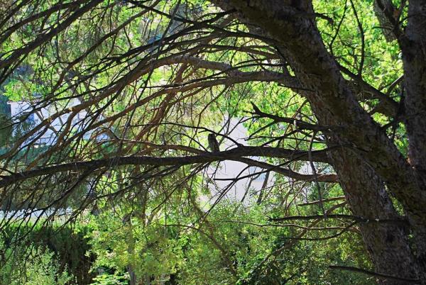 Terreno en Torremuelle