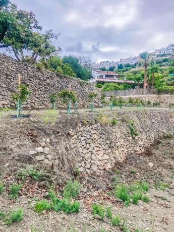 Terreno en calle Rosarico la Joaquín