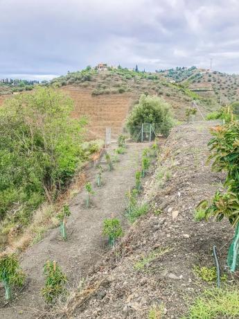 Terreno en calle Rosarico la Joaquín