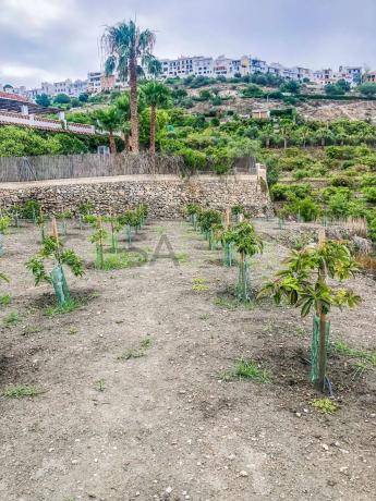 Terreno en calle Rosarico la Joaquín