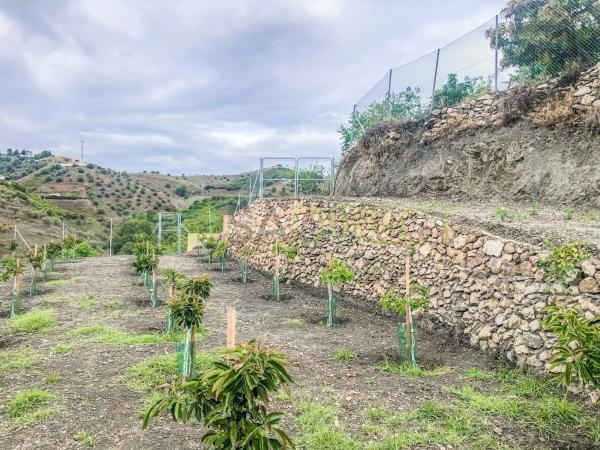 Terreno en calle Rosarico la Joaquín